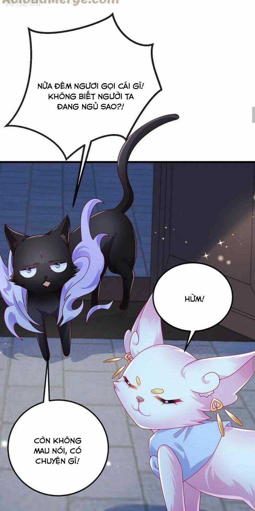 100 Cách Ngược Tra Nữ - Chapter 72 - Trang 24