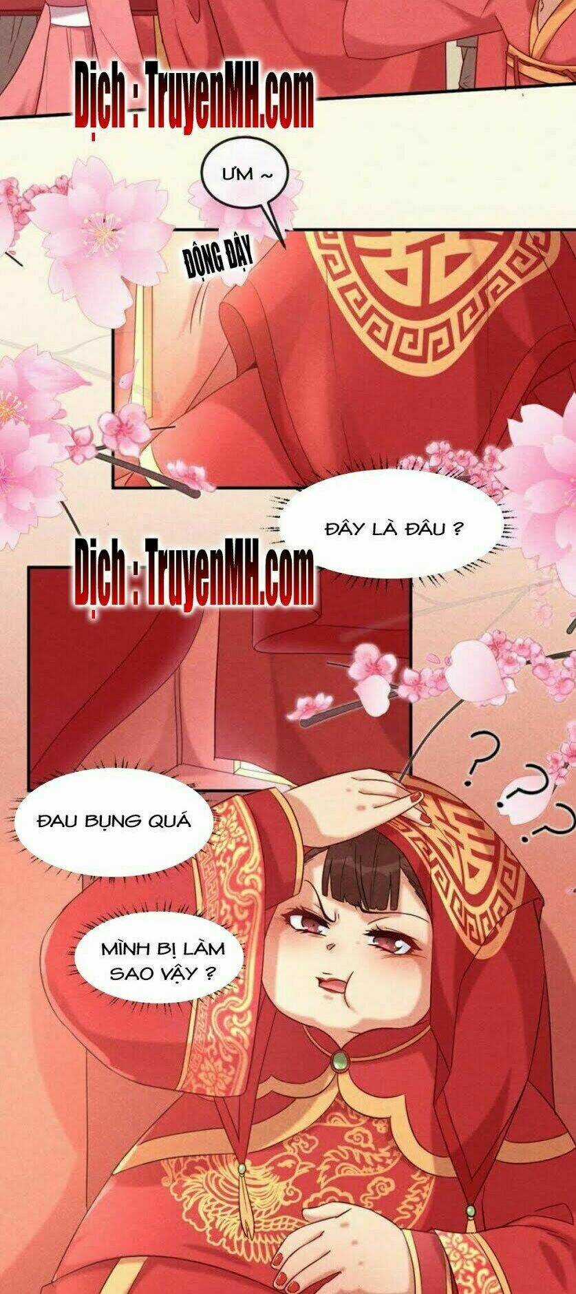 101 Mỹ Nam Của Vương Phi Béo Phì - Chapter 2 - Trang 5