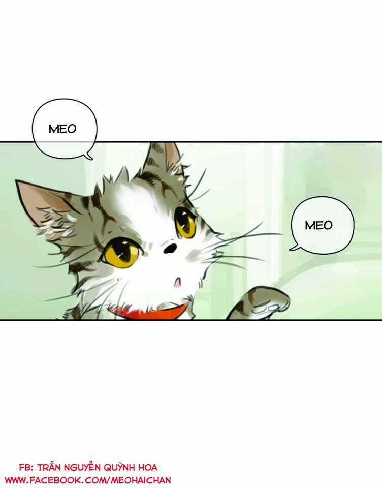 12 Giờ Của Lọ Lem - Chapter 40 - Trang 2