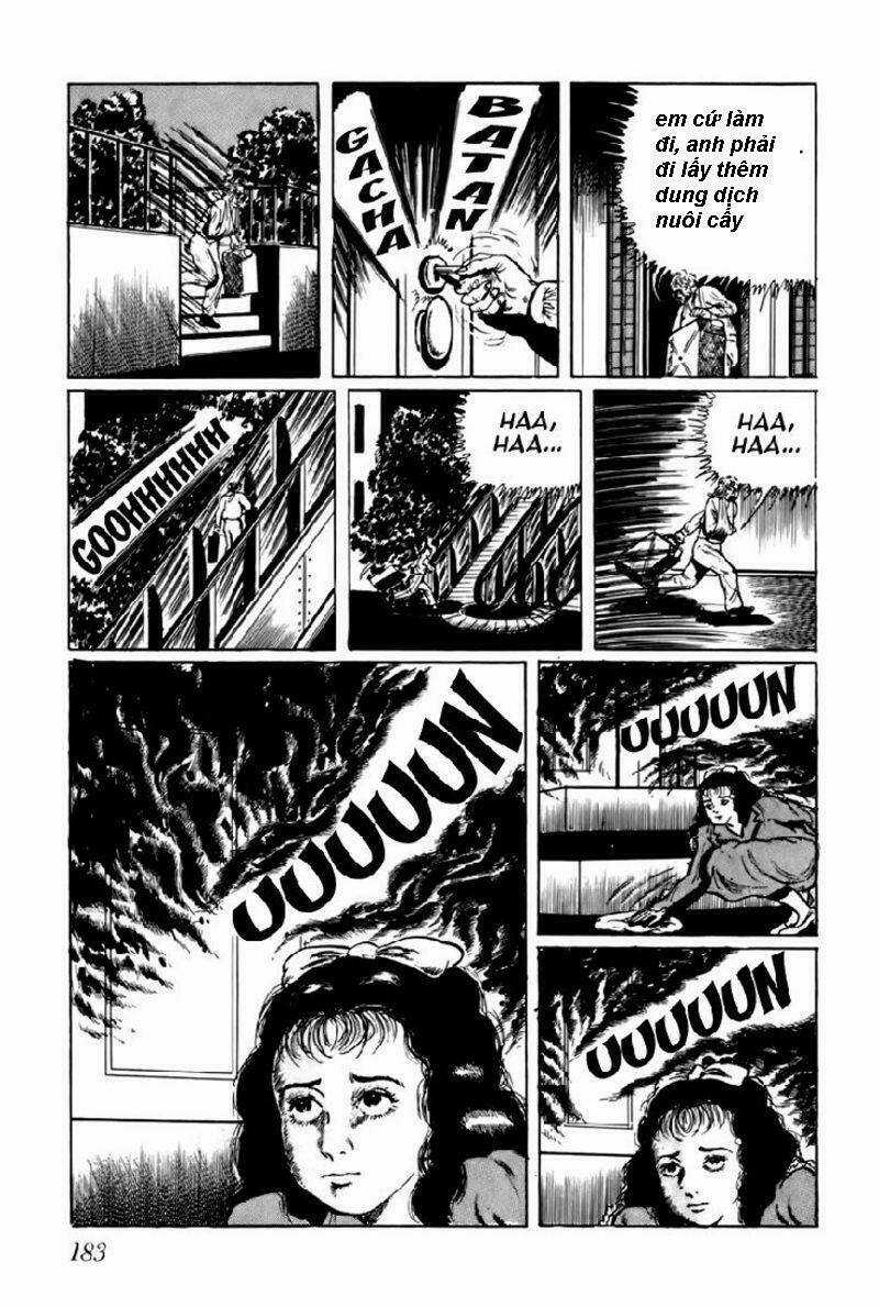 14-Sai - Chapter 11 - Trang 15