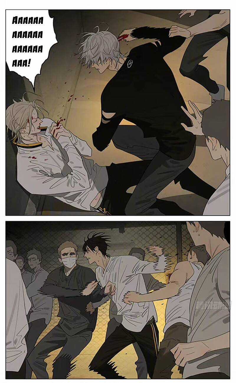 19 Days - Chapter 518 - Trang 3