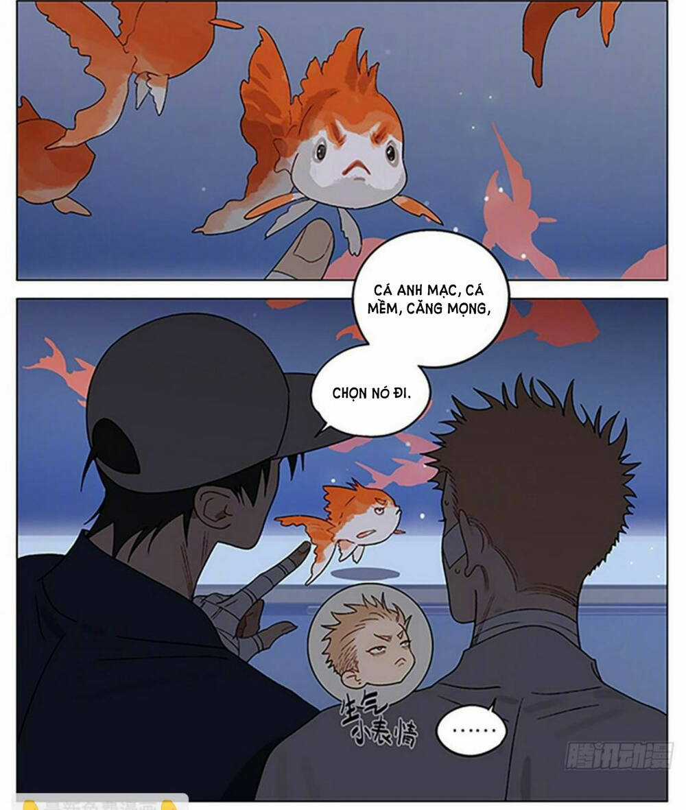 19 Days - Chapter 535 - Trang 5