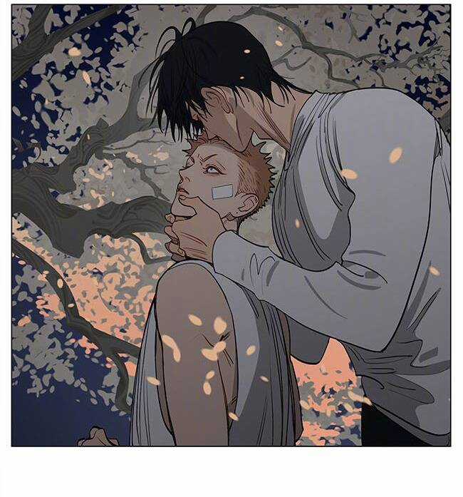 19 Days - Chapter 557 - Trang 11