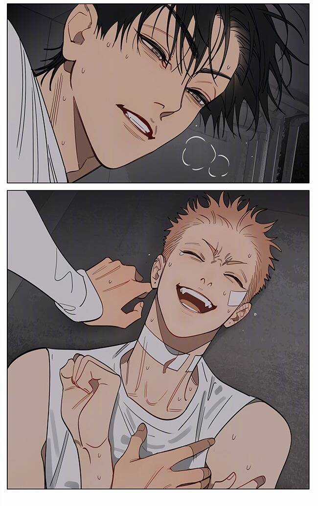 19 Days - Chapter 558 - Trang 11