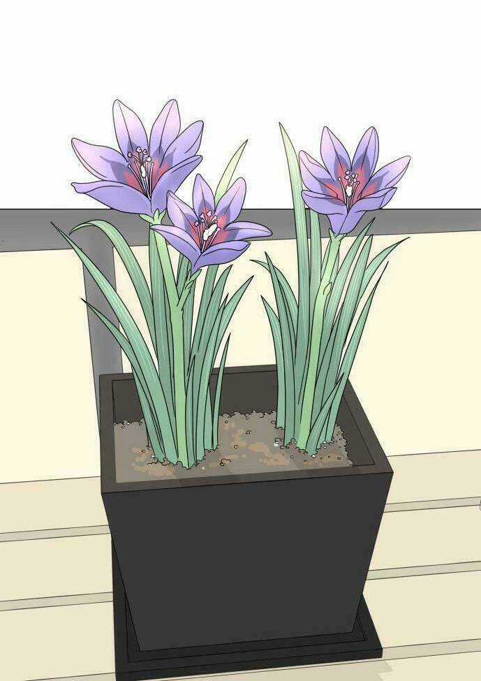 30 Phút Bước Đi Bên Em - Chapter 13 - Trang 19