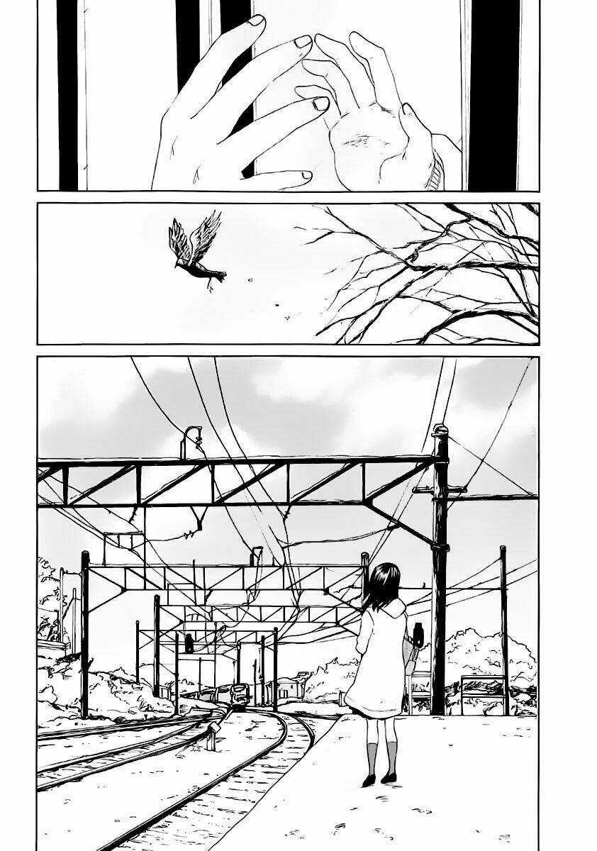 5 Centimet Trên Giây - Chapter 3 - Trang 44