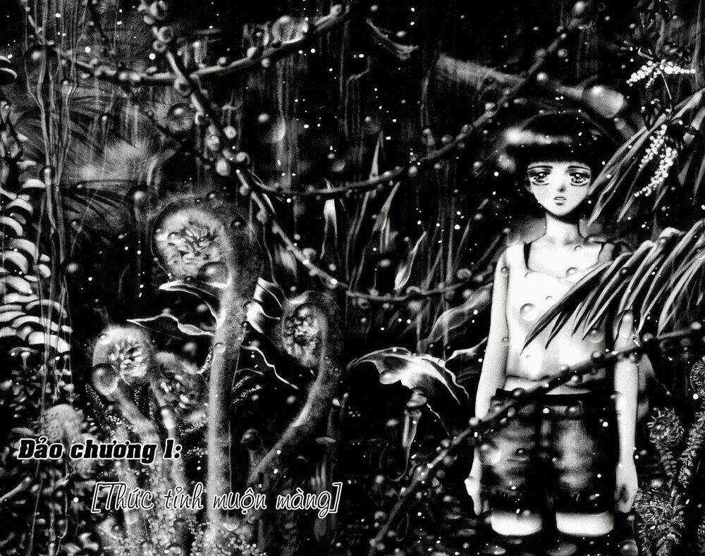 7 Mầm sống - Chapter 1 - Trang 6