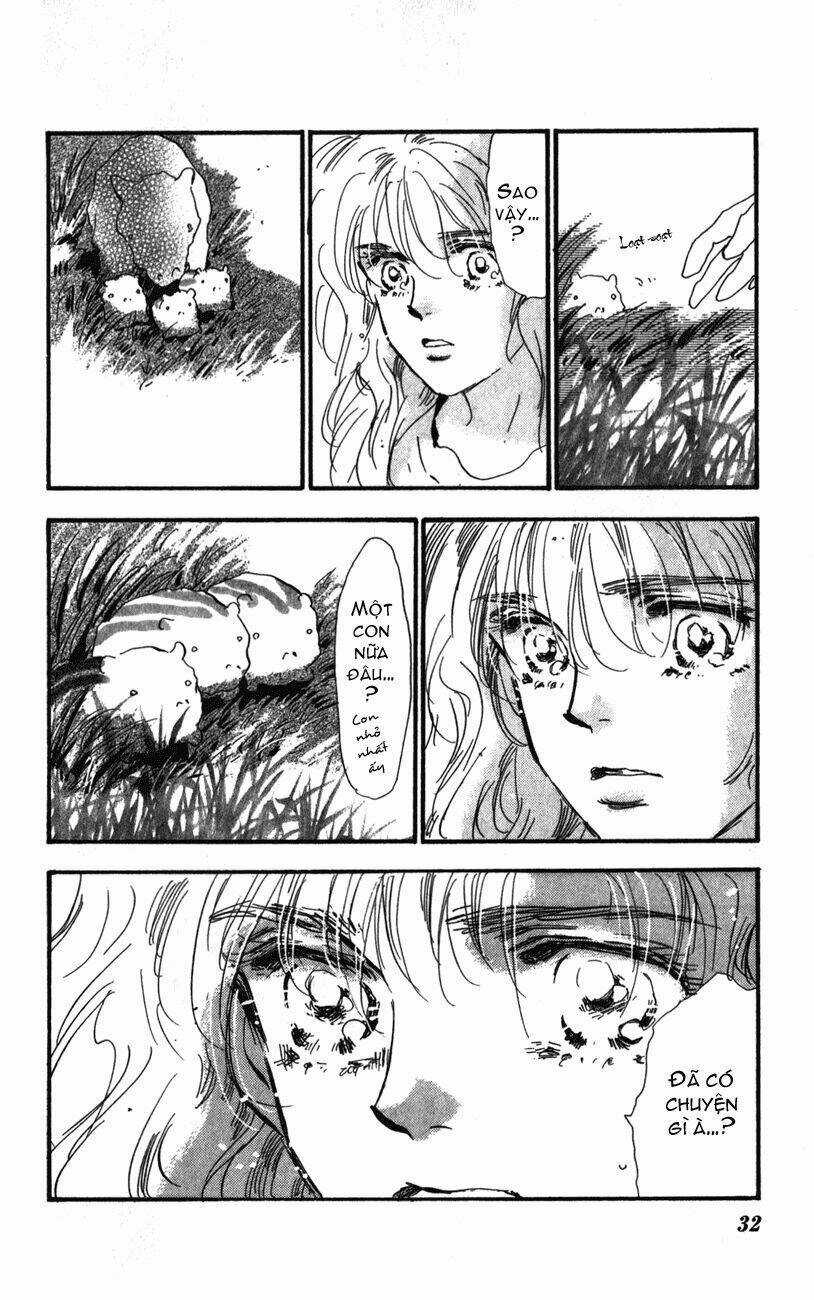 7 Mầm sống - Chapter 112 - Trang 33