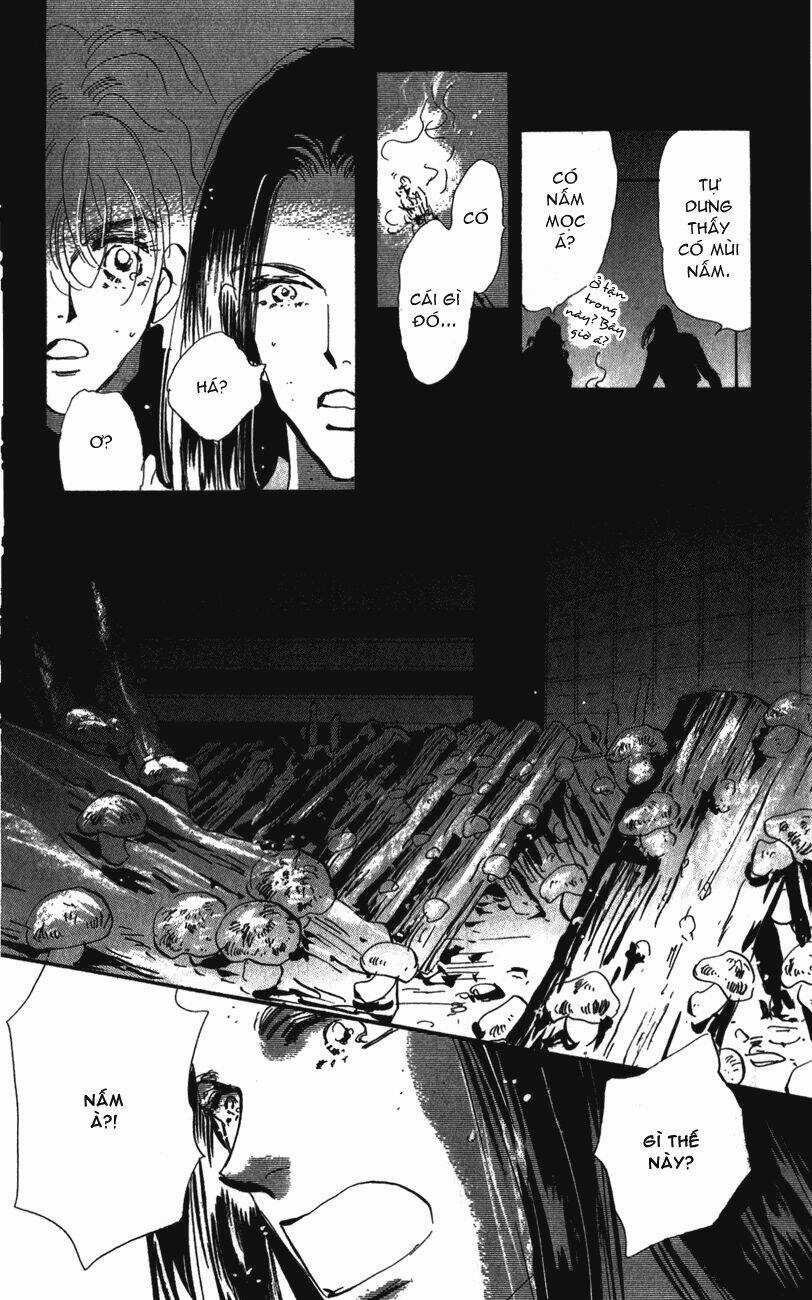 7 Mầm sống - Chapter 114 - Trang 21