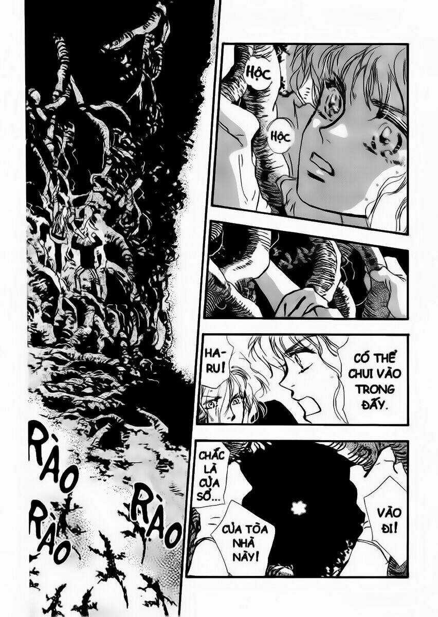 7 Mầm sống - Chapter 13 - Trang 20