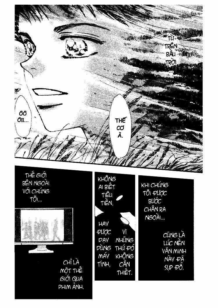 7 Mầm sống - Chapter 37 - Trang 19