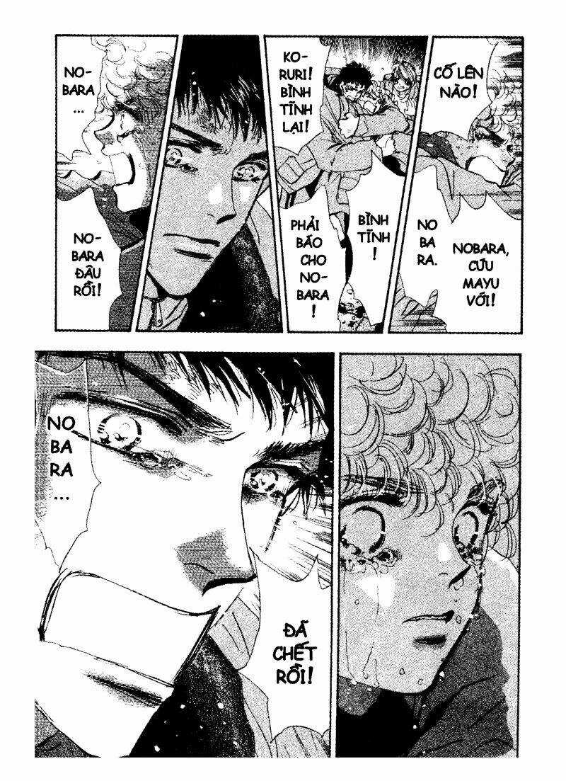 7 Mầm sống - Chapter 45 - Trang 15