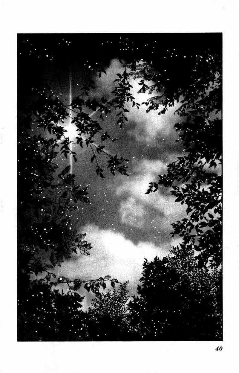 7 Mầm sống - Chapter 62 - Trang 40