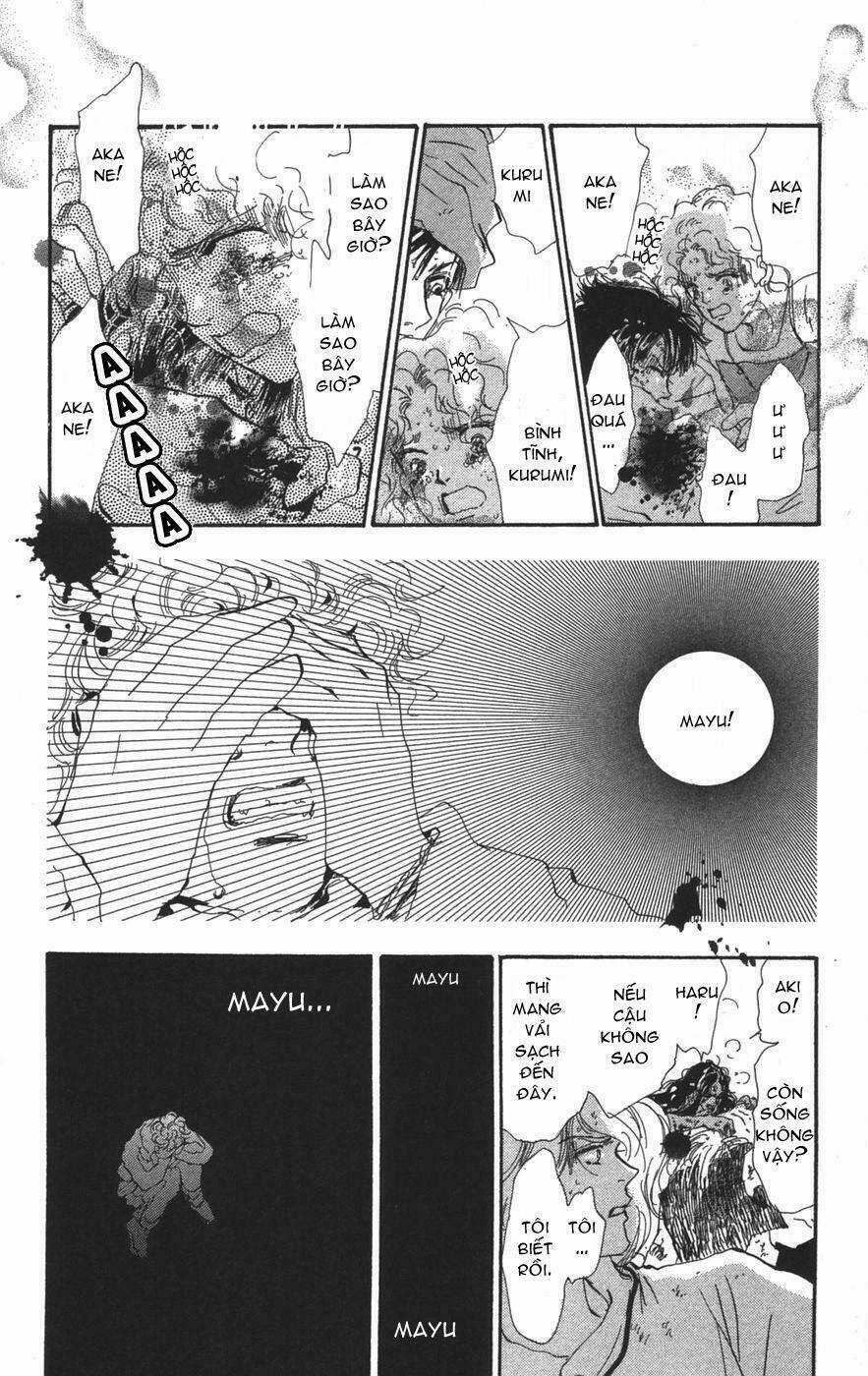 7 Mầm sống - Chapter 71 - Trang 35