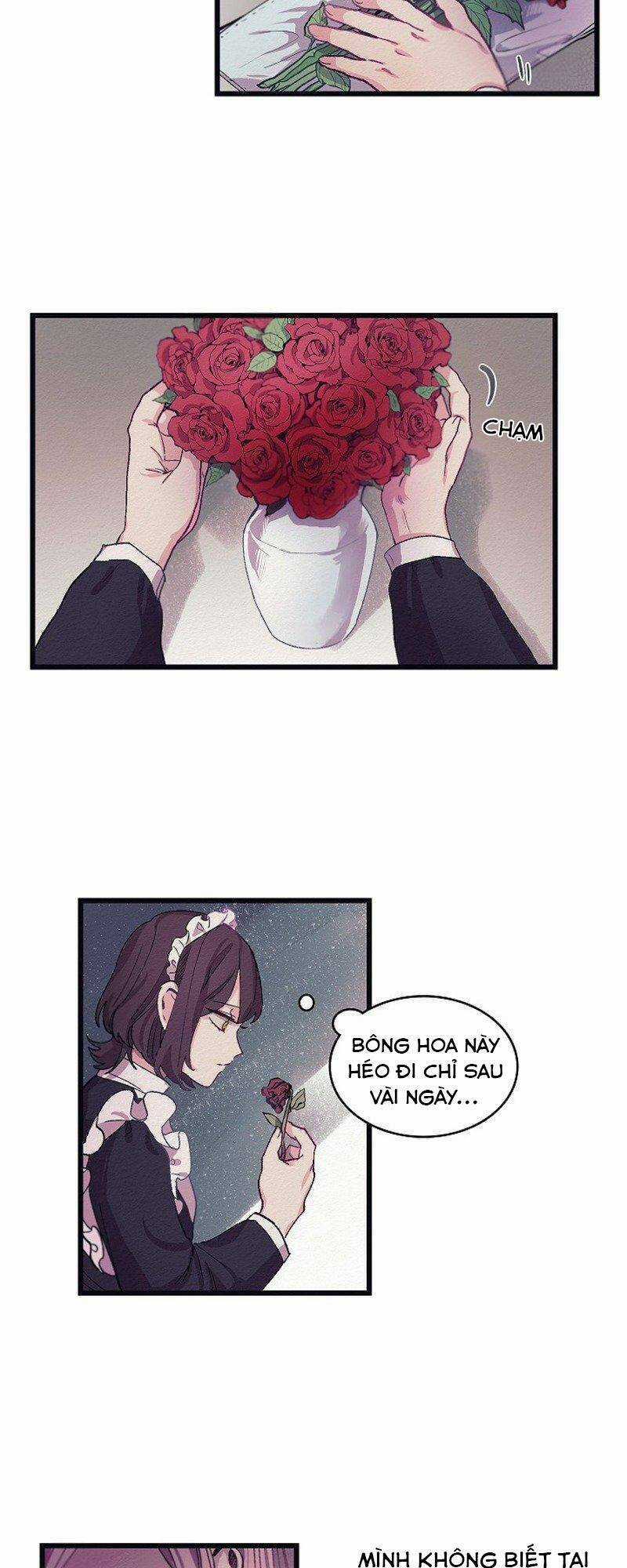 A Lady's Table - Chapter 5 - Trang 10