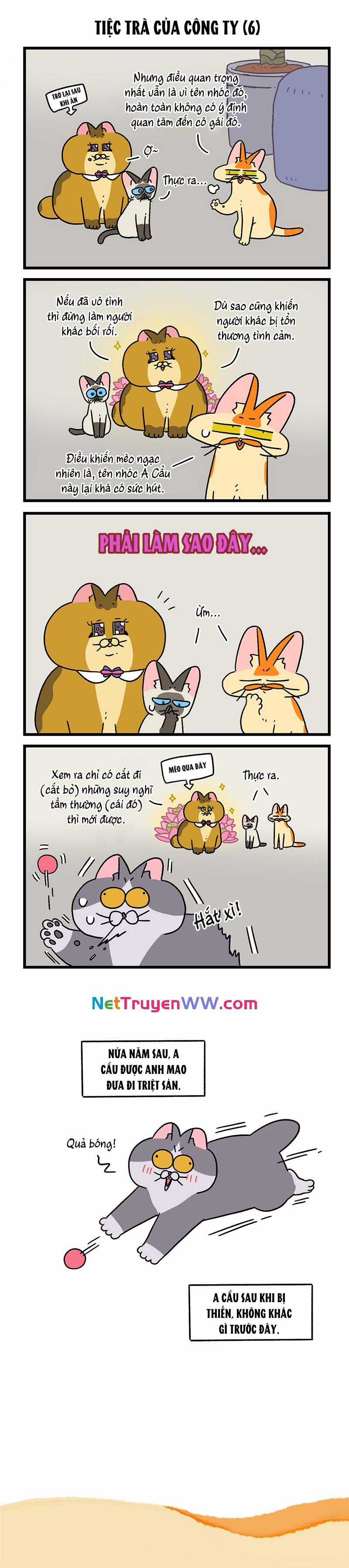 A Mãn Và Mạch Trà - Chapter 110.1 - Trang 3