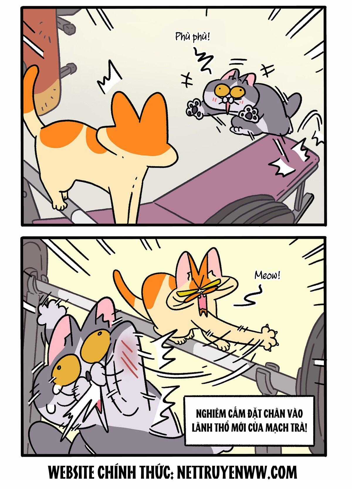 A Mãn Và Mạch Trà - Chapter 120.1 - Trang 2