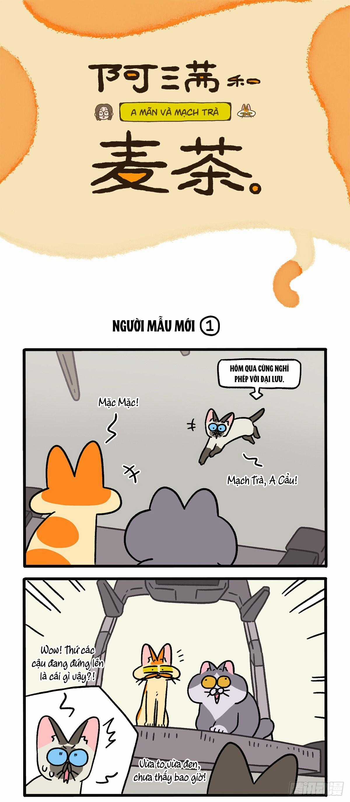 A Mãn Và Mạch Trà - Chapter 121 - Trang 1