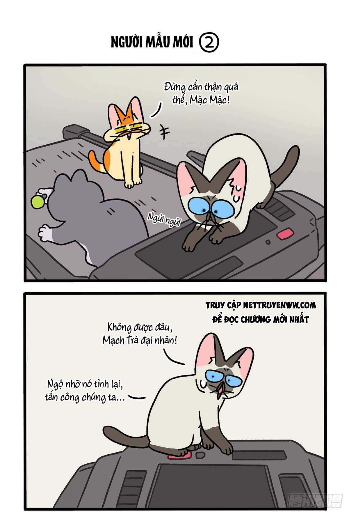 A Mãn Và Mạch Trà - Chapter 121 - Trang 3