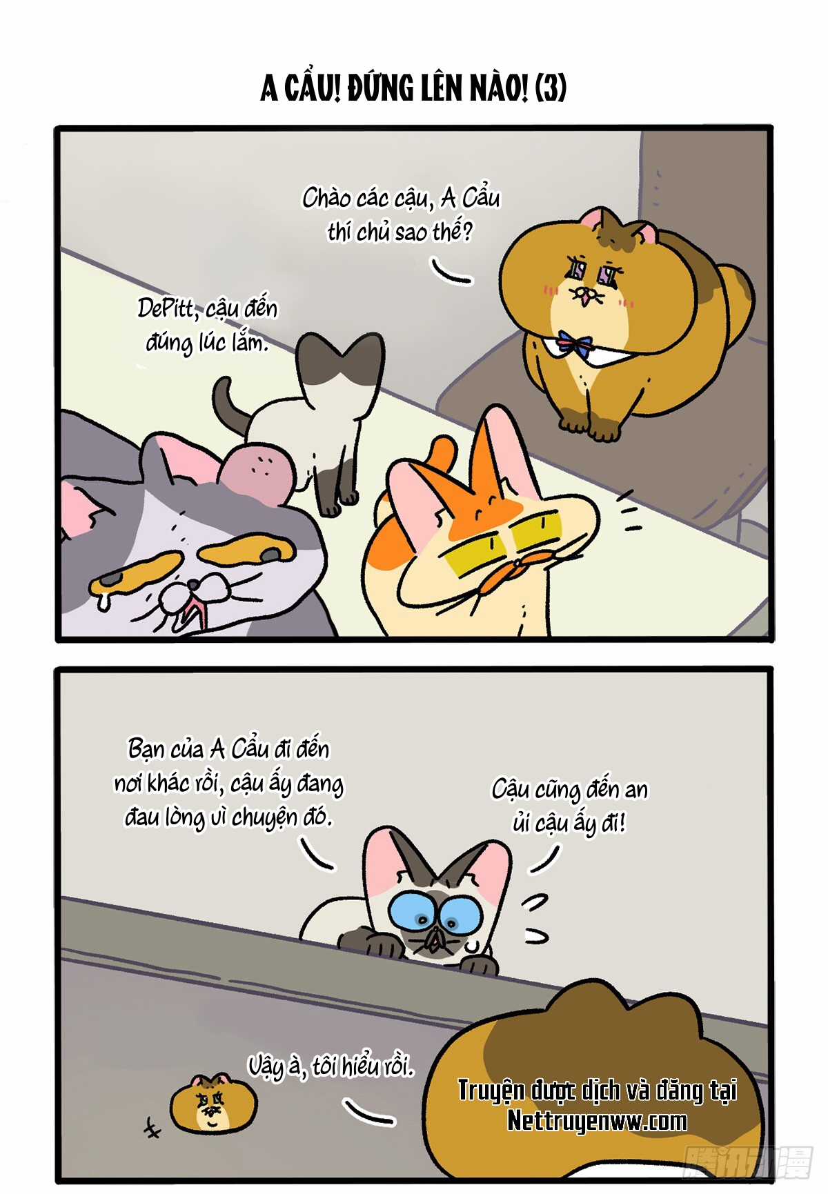 A Mãn Và Mạch Trà - Chapter 131 - Trang 5