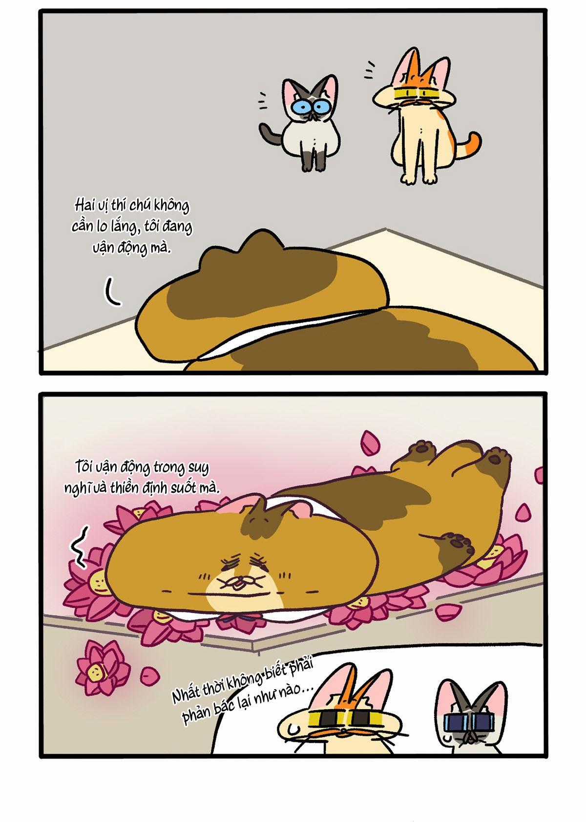 A Mãn Và Mạch Trà - Chapter 134.1 - Trang 2