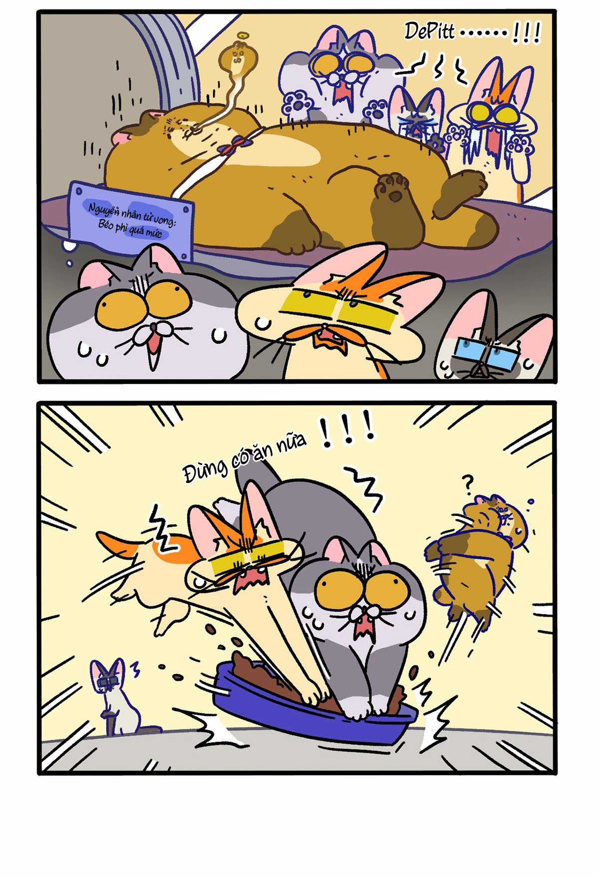 A Mãn Và Mạch Trà - Chapter 134 - Trang 4