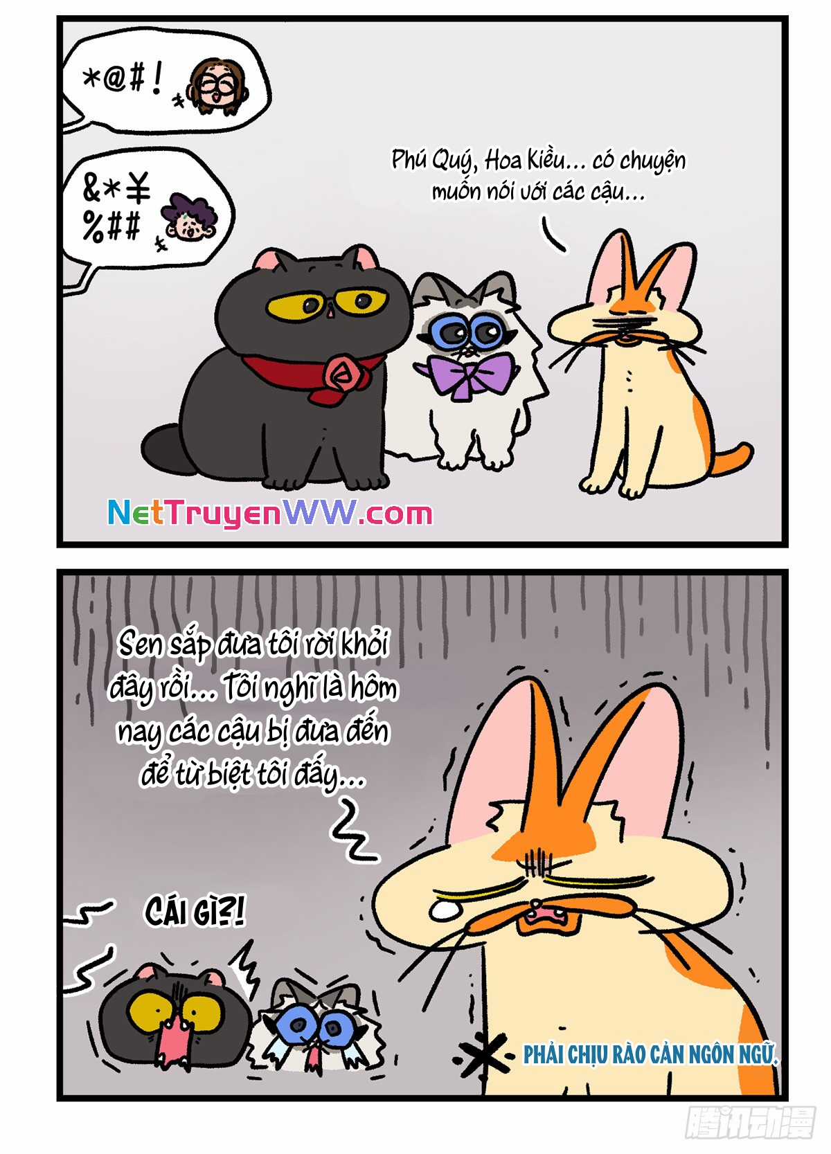 A Mãn Và Mạch Trà - Chapter 137.1 - Trang 6