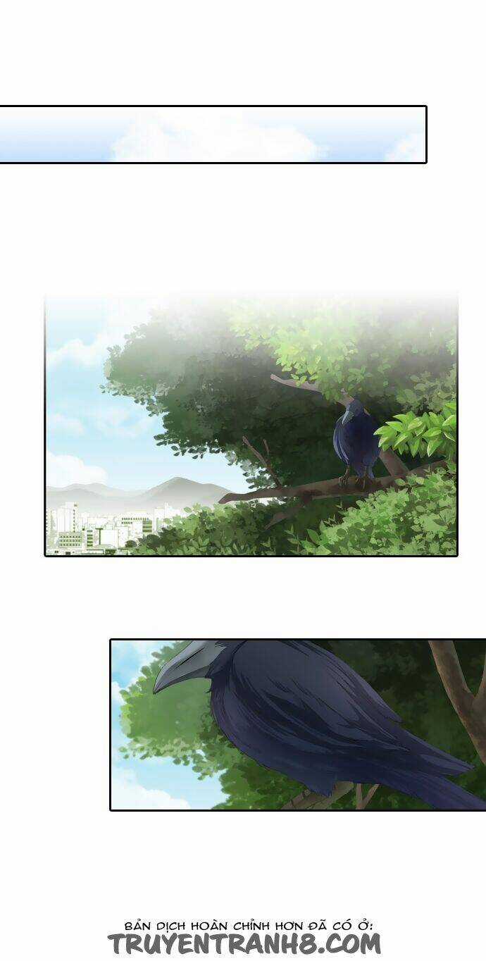 A Thousand Years Ninetails - Chapter 12 - Trang 4