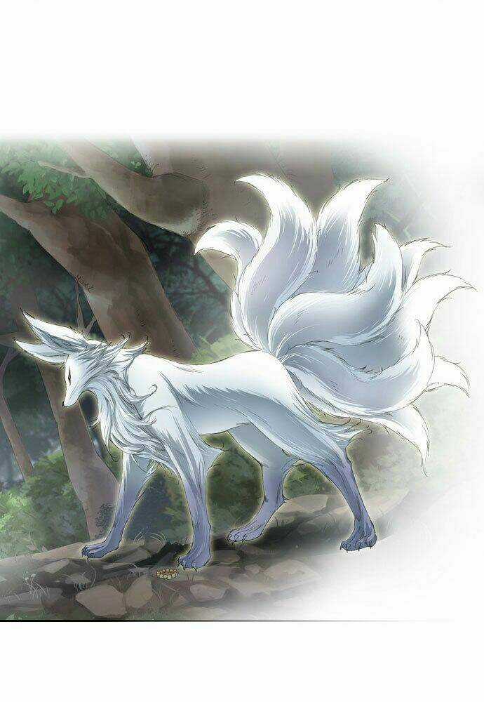 A Thousand Years Ninetails - Chapter 3 - Trang 12