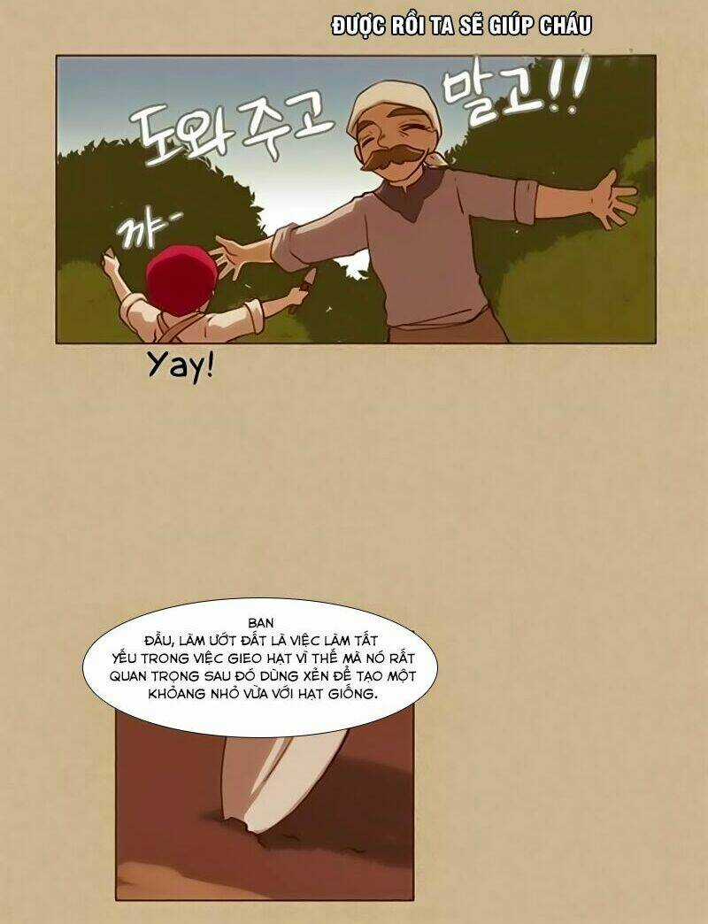 Abide In The Wind - Chapter 13 - Trang 13