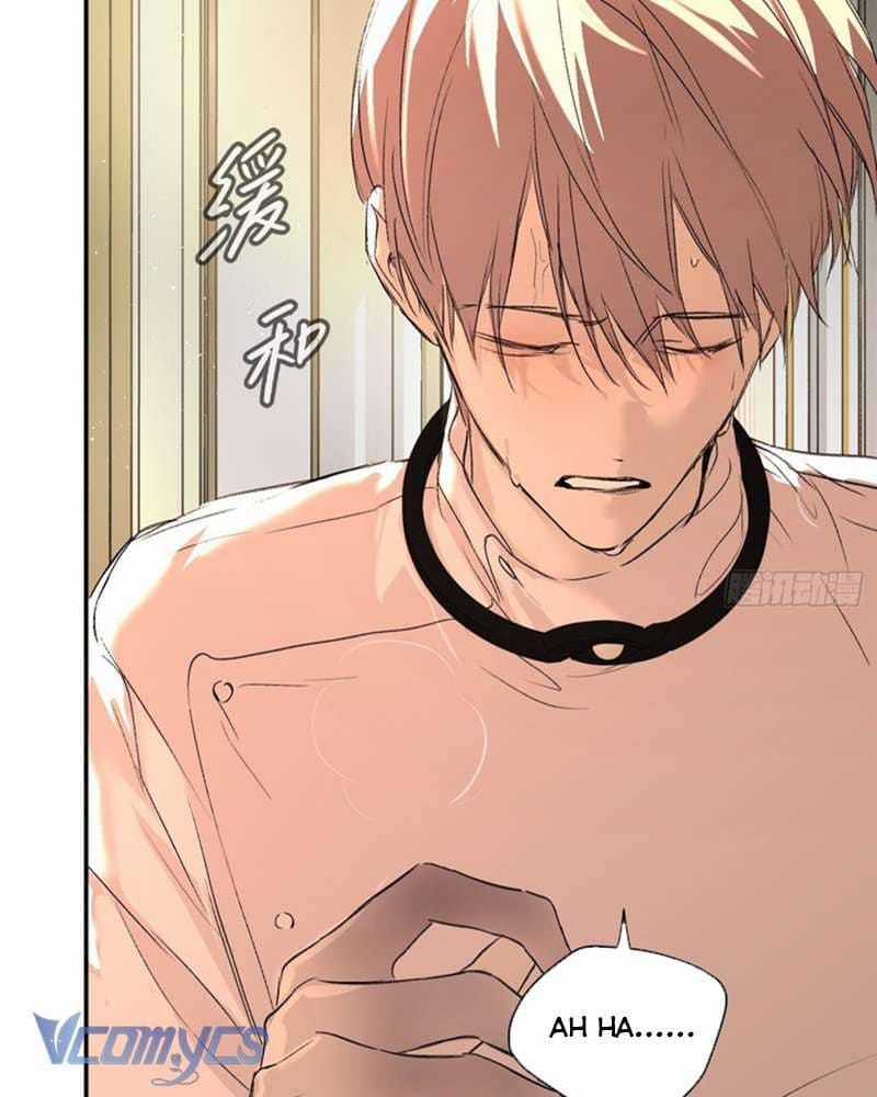 Ác Chi Hoàn - Chapter 53 - Trang 122