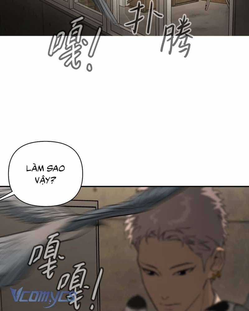 Ác Chi Hoàn - Chapter 71.1 - Trang 72