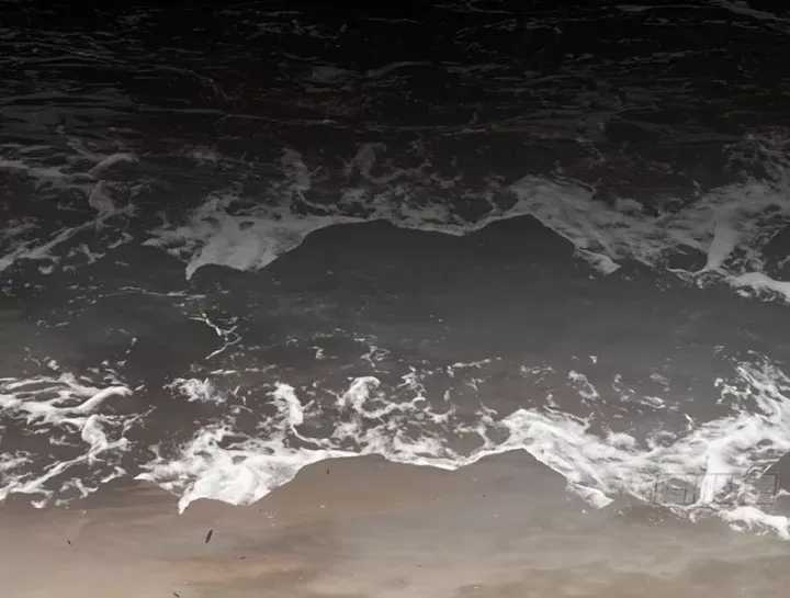 Ác Chi Hoàn - Chương 76 - Trang 4