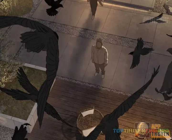 Ác Chi Hoàn - Chương 83 - Trang 4