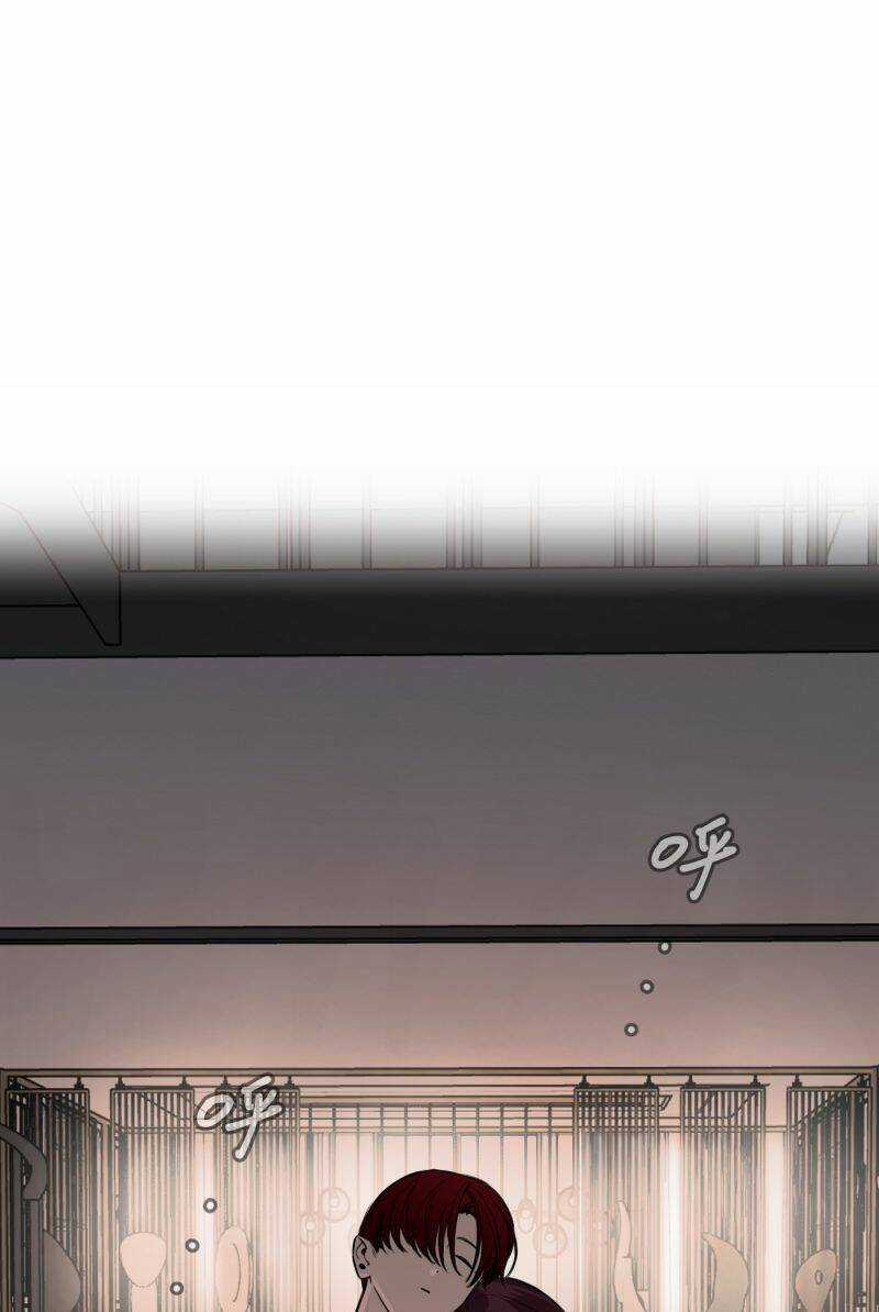 Ác Ma May Mắn - Chapter 53 - Trang 13