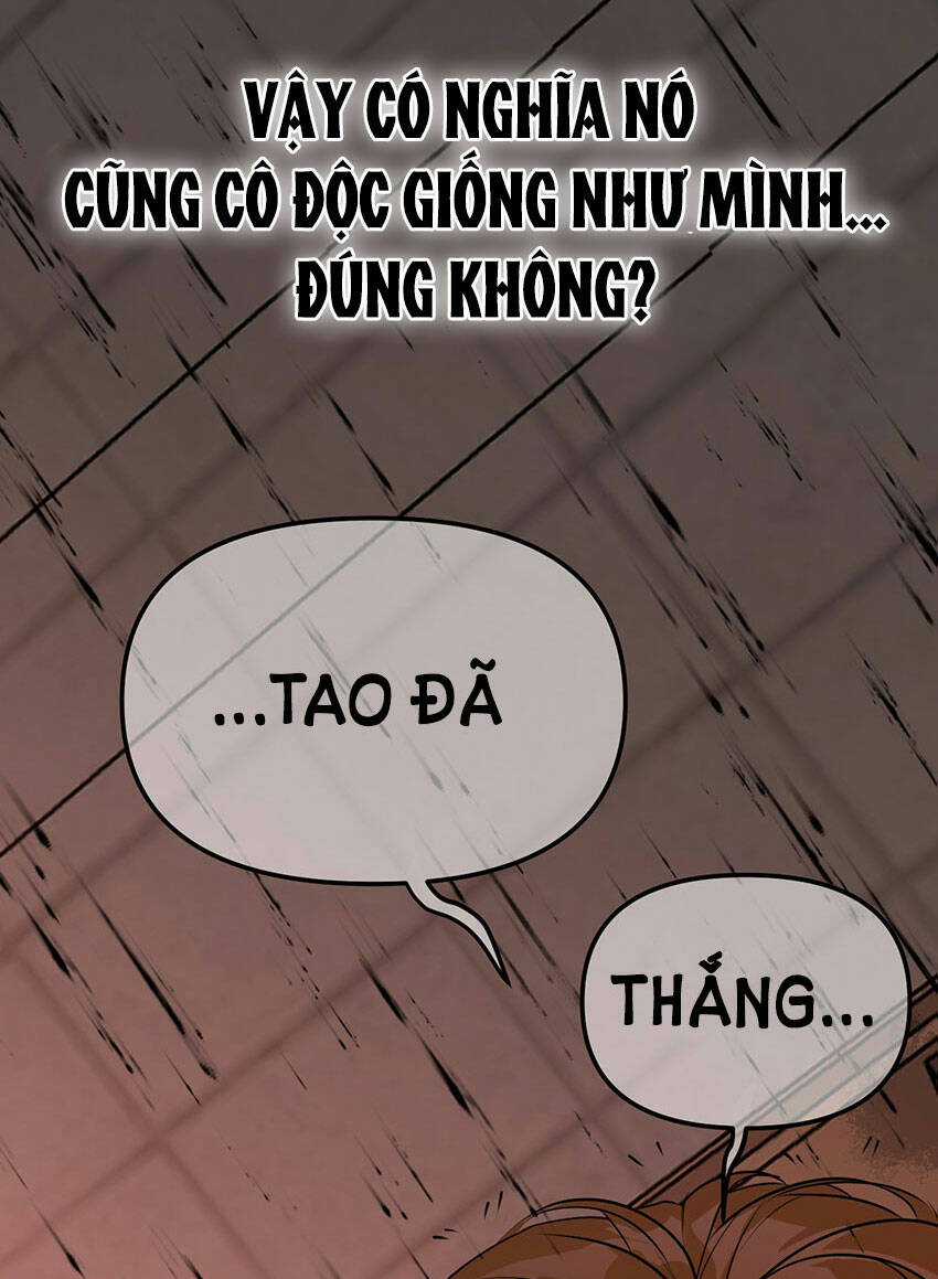 Ác Ma May Mắn - Chapter 65 - Trang 43