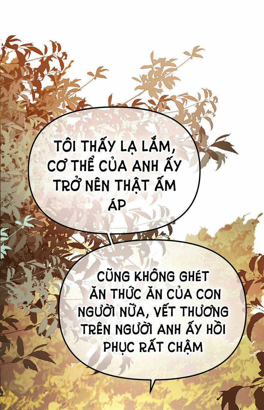Ác Ma May Mắn - Chapter 68 - Trang 11
