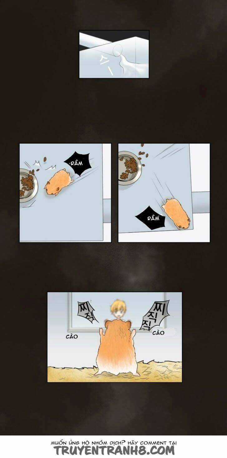 Accord - Chapter 9 - Trang 15