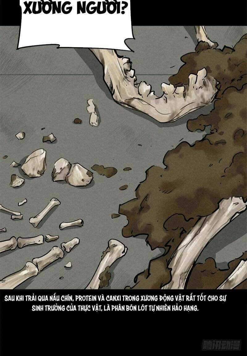 Ách Thế Quỹ Tích - Chapter 38 - Trang 31