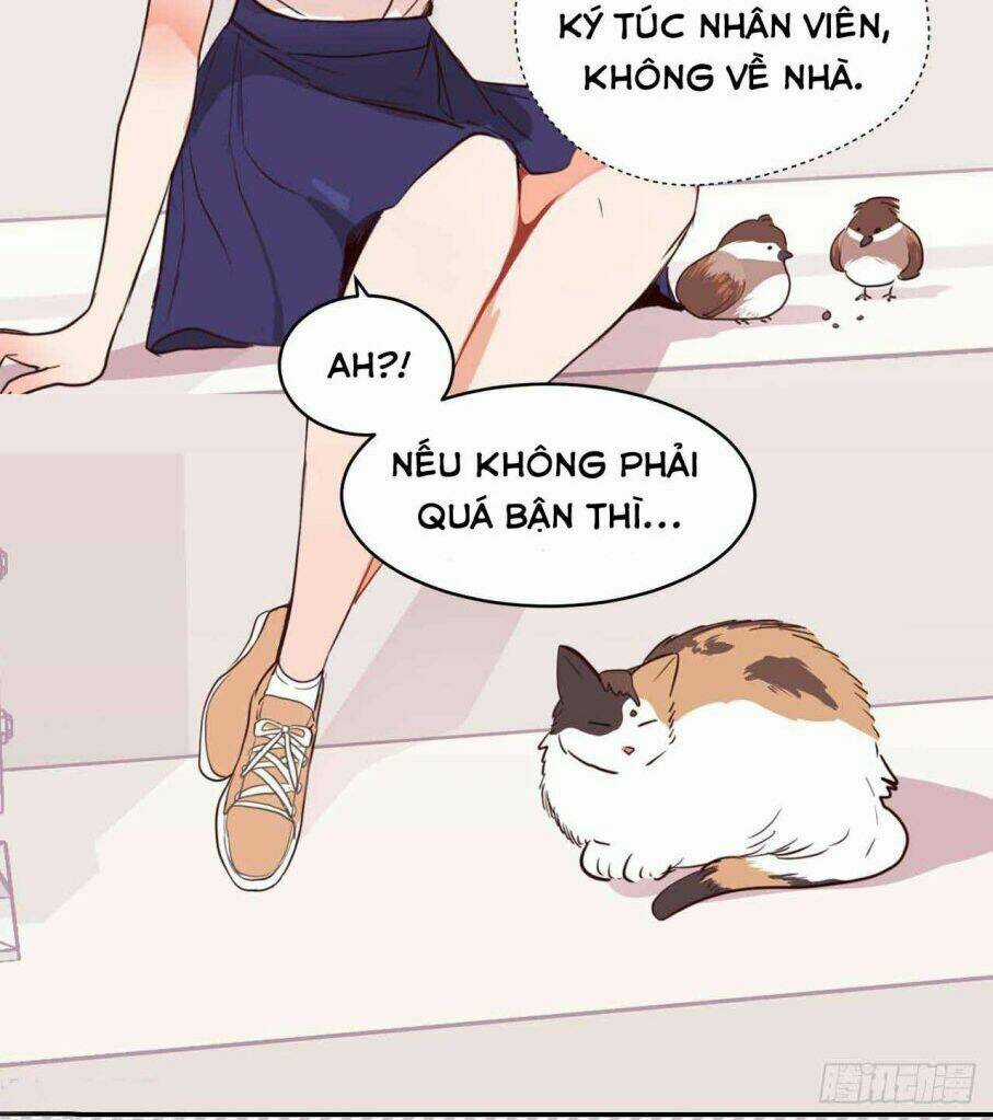 Acup Tiên Sinh - Chapter 20 - Trang 17