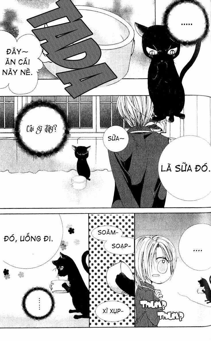 Adventure And Trouble Diary - Chapter 1 - Trang 33