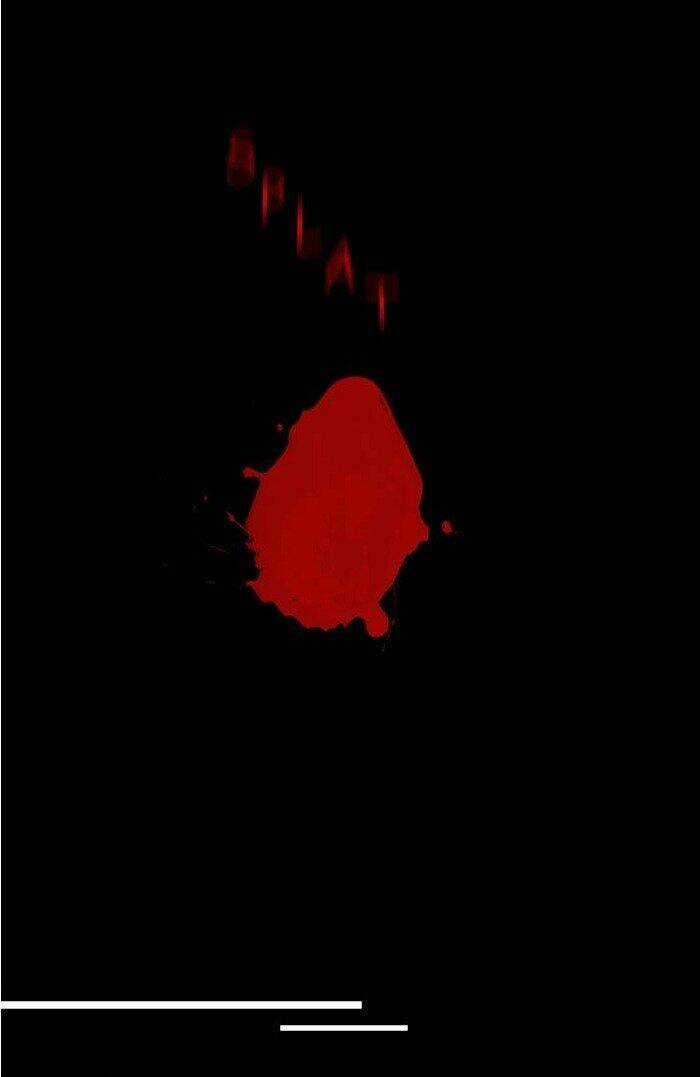 Aegis Orta - Chapter 6 - Trang 33