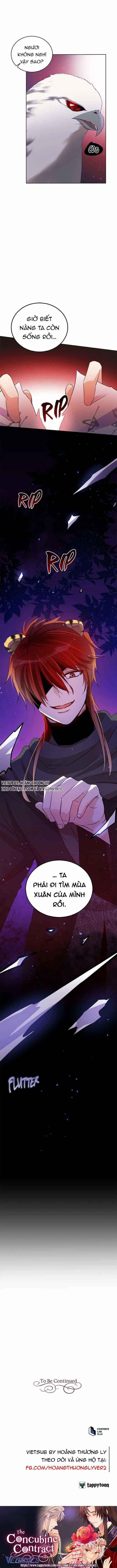 Ái Phi Khế Ước - Chapter 71 - Trang 13