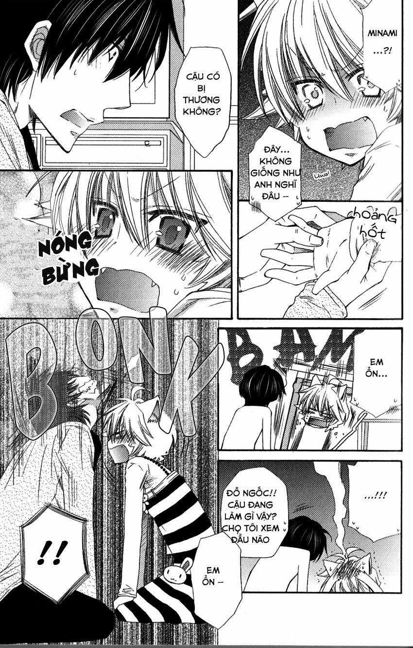Aigan Kitty - Chapter 1 - Trang 21
