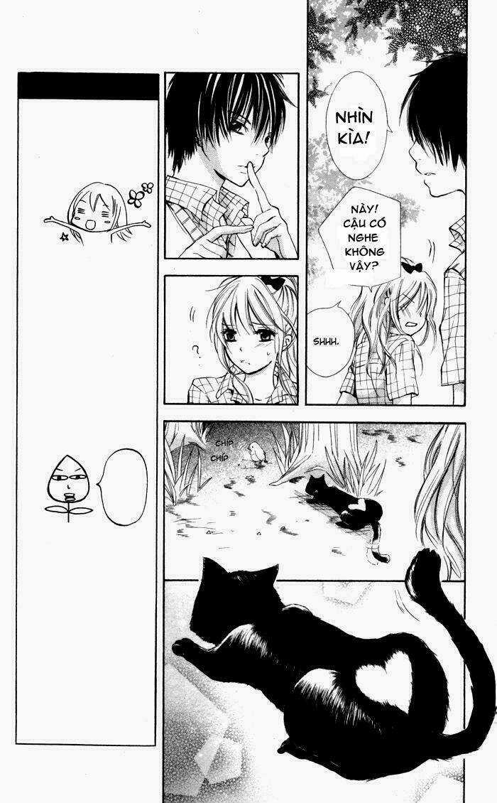 Air Koi - Chapter 1 - Trang 23