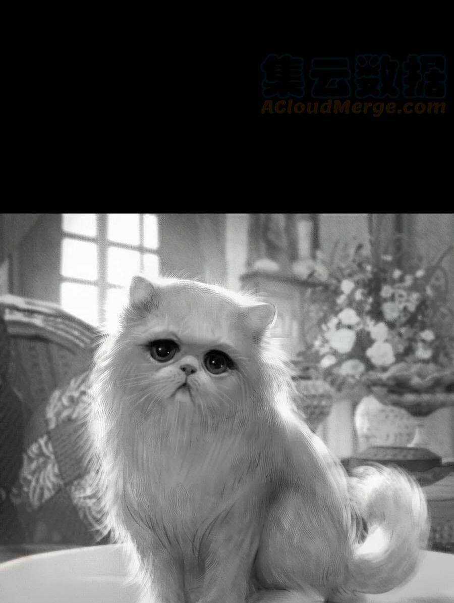 Aisha - Chapter 14 - Trang 4