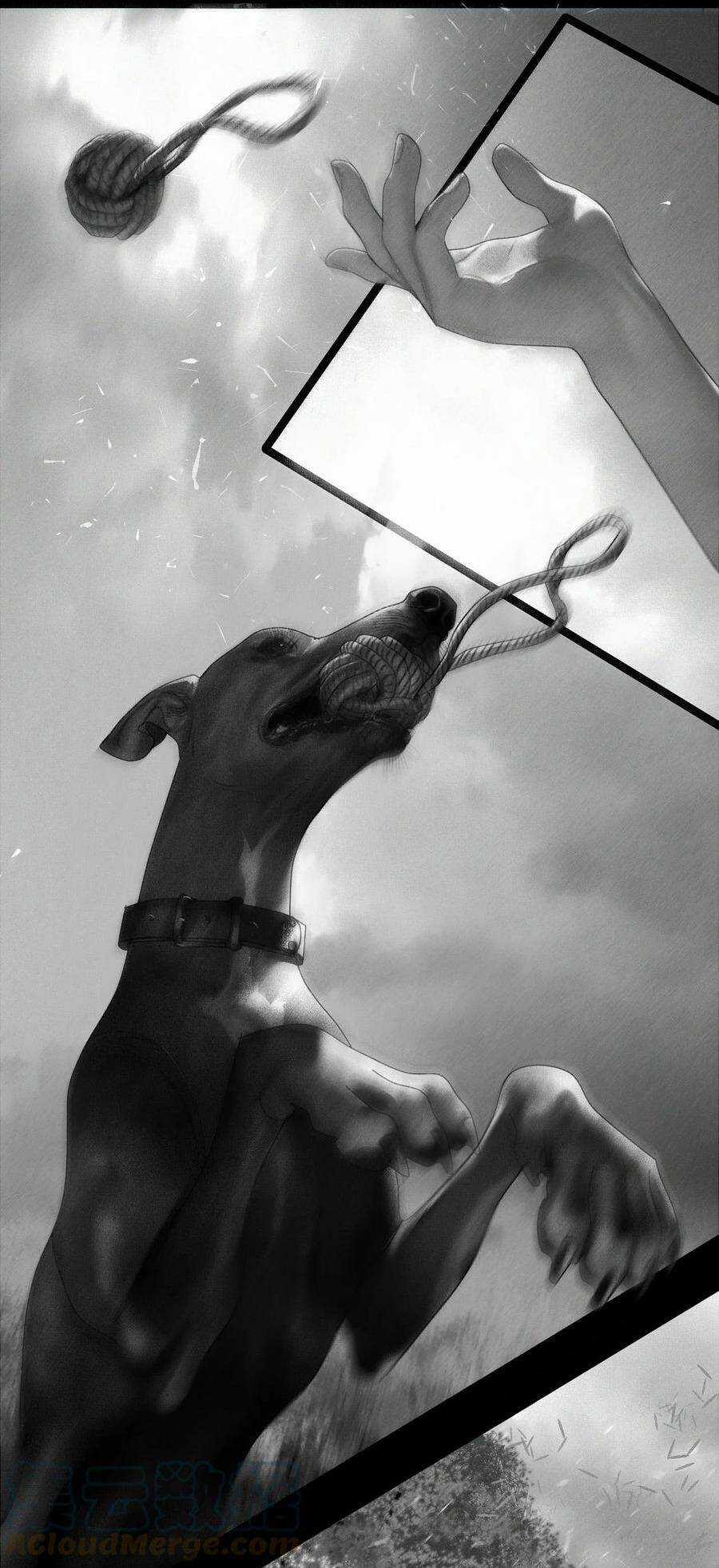 Aisha - Chapter 15 - Trang 16