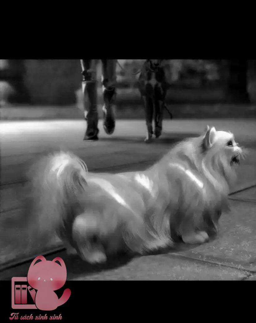 Aisha - Chapter 46 - Trang 33