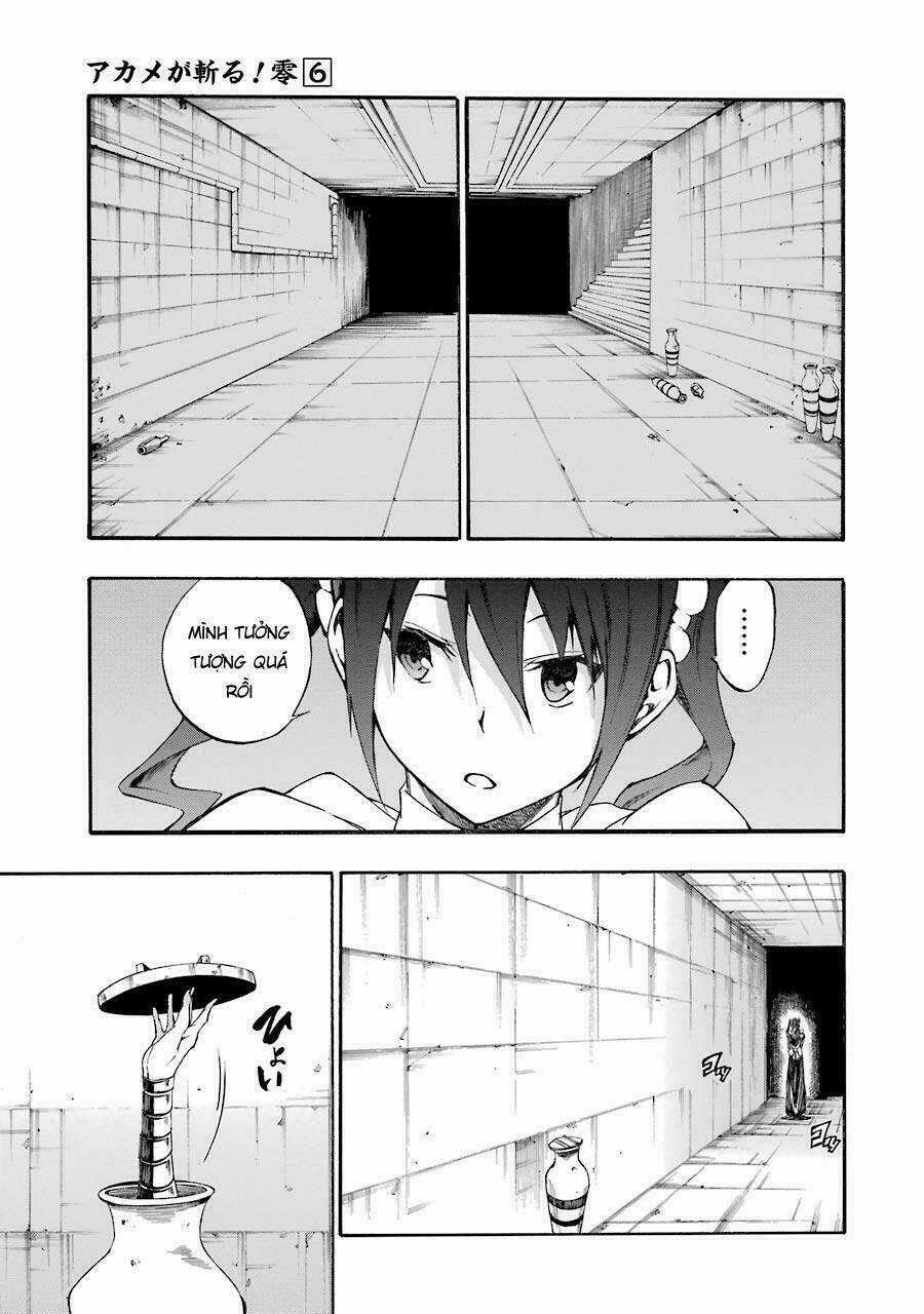 Akame Ga Kill! Zero - Chapter 37 - Trang 19