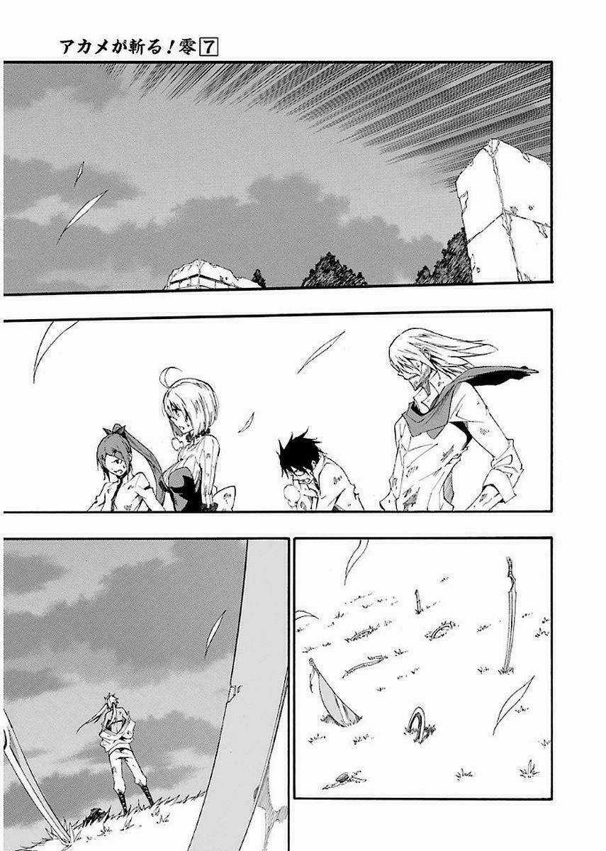 Akame Ga Kill! Zero - Chapter 42.5 - Trang 3